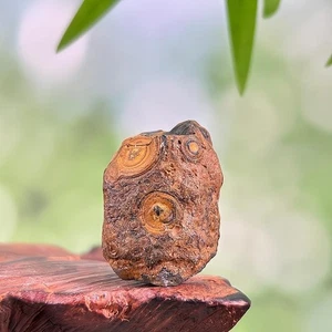 China Innere Mongolei Gobi grober Achat Präparat - Bild 1 von 3