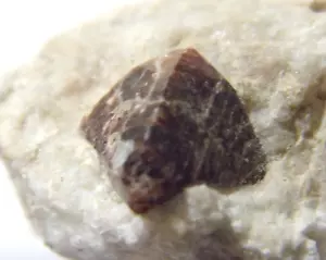 599 Karat Zirkonkristall Mineralprobe in Matrix Mutter Gestein Heiler 53290 - Bild 1 von 9