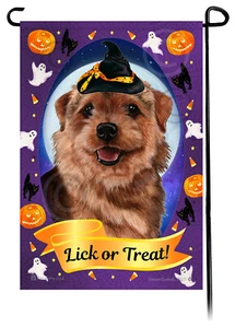 Halloween Garden Flag - Grizzle Norfolk Terrier - Picture 1 of 1