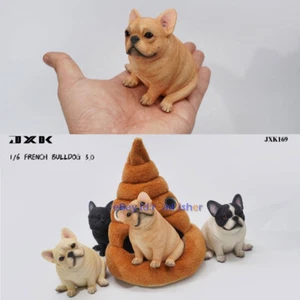 JXK 1/6 French Bulldog 3.0 Model Dog Animal Scene Decor Soldier Accessory Toys - Picture 1 of 34