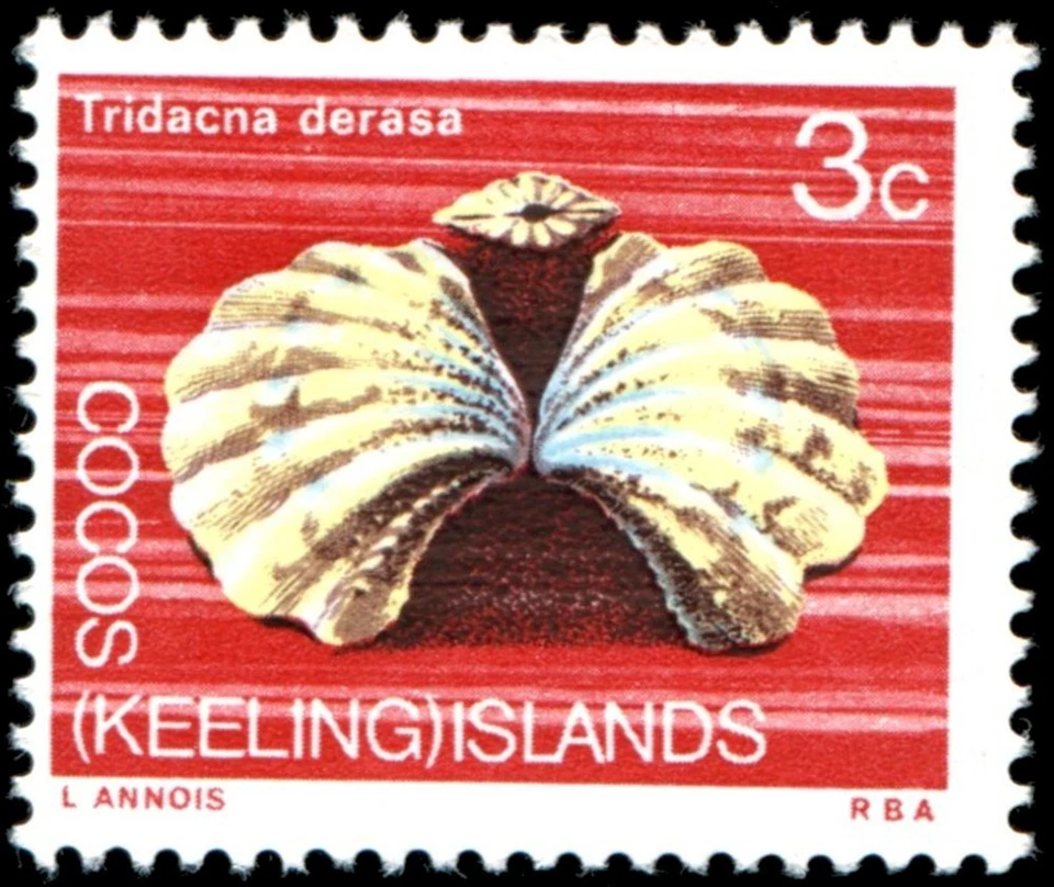 Cocos Keeling Islands 1969 3c Reef Clam MNH - SG 10 - Image 1 of 1