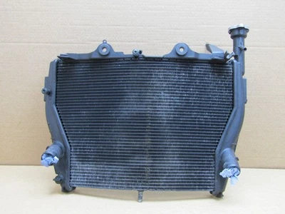 Radiador BMW S1000RR 2011 13.659 millas (10265) Foto 1 de 4