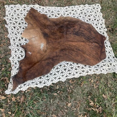 正品隐藏 Brindle 牛皮虎条纹鞣制地毯扔质朴的农舍 — 第 1/4 张图片