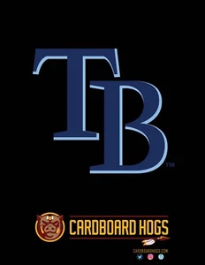 Tampa Bay Rays 300 Card Lot - Stars, Rookies, & SP's - Picture 1 of 1