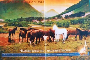 WHITE HORSE Old Scotch Whisky Drinks ADVERT (2) Vintage 1980s Print Ad 703B/132 - Picture 1 of 3
