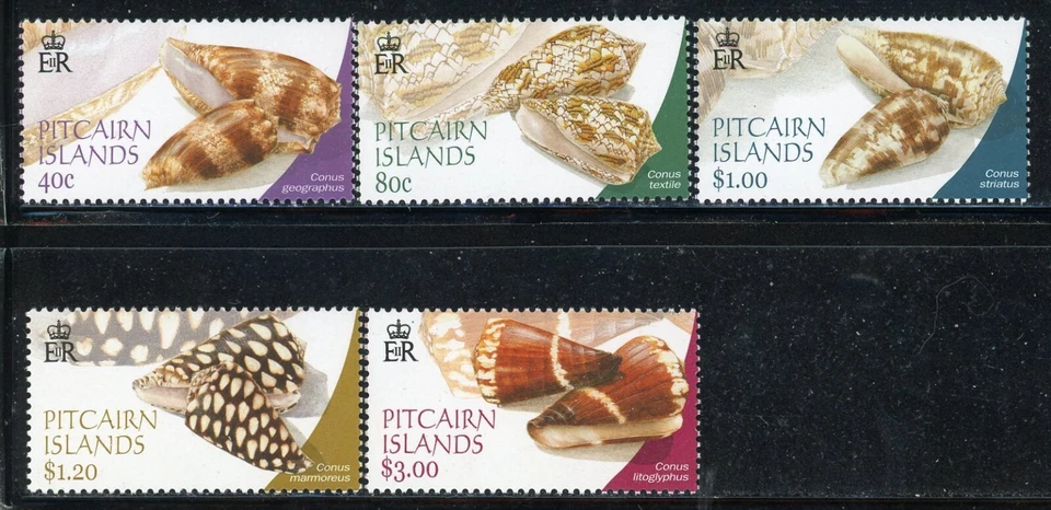 PITCAIRN ISLANDS 572-76 SG637-41 MNH 2003 Conus Shells set of 5 CV$10 - Image 1 of 1