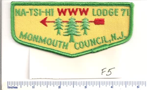 NA-TSI-HI  LODGE 71  F5  FLAP  NEW JERSEY OA MINT  BSA - Picture 1 of 1