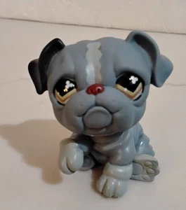 Authentische Littlest Pet Shop LPS BULLDOGGE #668 blau grau mit braunen Kleeaugen - Bild 1 von 4
