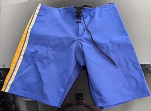 CCM St Louis Blues NHL Pro Stock Hockey Player Girdle/ Pant Shell Large - Picture 1 of 5