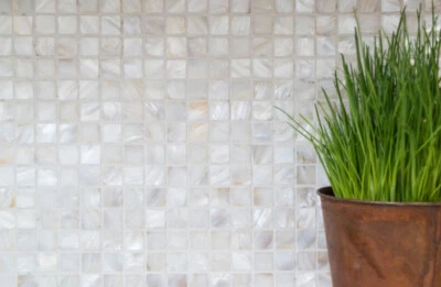 Mosaik Fliese Muschel Perlmutt Wandfliesen Badfliese Fliesenspiegel Duschwand - Bild 1 von 4