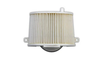 Filtro de aire para Yamaha XV 1600 AS Road Star MM (Edición Limitada) 2000 (1600 CC) Foto 1 de 4