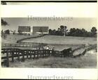 1985 Press Photo Horses running though pasture, Poplarville, Mississippi