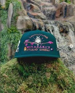 DBruze STUDIO GHIBLI Embroidered Hat Snapback - Picture 1 of 5
