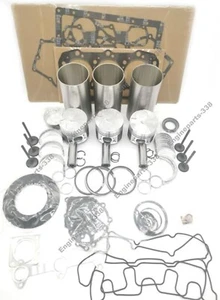 Overhaul Rebuild Kit for Volvo Engine D1.1 D1.1DCAE4 D1.1DCBE4 Excavator EC15 - Picture 1 of 1