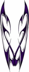 Sting Ray race car hood wrap vinyl graphic decal - Picture 1 of 7