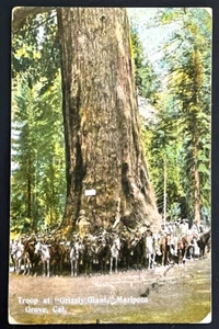 Antigua postal de Mariposa Grove California de principios de 1900 tropa militar - Imagen 1 de 3