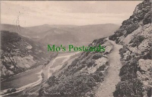 Wales Postcard - Dolgelley Precipice Walk Gwynedd RS33330 - Picture 1 of 2