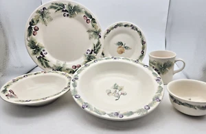 Platos de cena y ensalada Pfaltzgraff "Jamberry", cuencos, taza, artículos de servicio stock abierto - Imagen 1 de 84