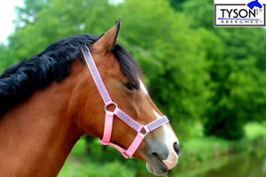 Halfter Rosa VB X Full ~ Kaltblut Nylonhalfter Glitzer Nylon Glitzer Halfter - Bild 1 von 27