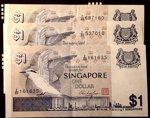 1X 1976 SINGAPORE $1 BLACK NAPED TERN CRISP  BANKNOTE  INV#B10513 Cover