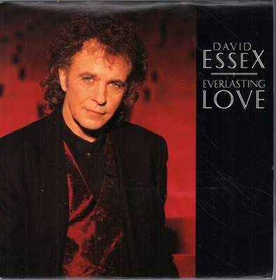 David Essex Everlasting Love 7" vinyl UK Polygram 1993 B/w father and son - Image 1 of 2