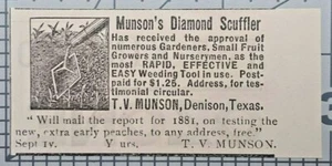 Anuncio de televisión impreso vintage de Dennison Texas Herramienta agrícola raspador de diamantes Munson 1881 - Imagen 1 de 2