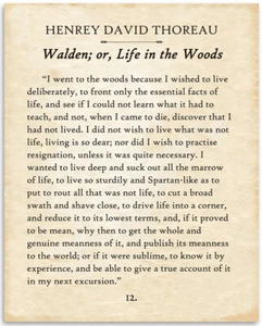 Thoreau - Walden I Went To The Woods - 11x14 ungerahmte Typografie Buchseite Druck - Bild 1 von 8