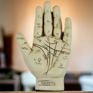 Palmistry Hand Sculpture Chiromancy Fortune Telling Chirology Palm Reading - Picture 1 of 2