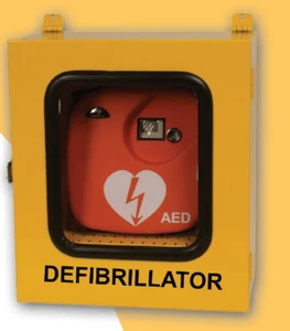 TECA PER DEFIBRILLATORE DA ESTERNO CON TERMOREGOLATORE E ALLARME - Foto 1 di 2