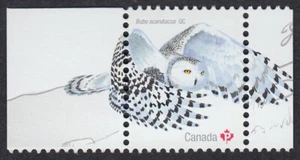 SNOWY OWL = Stamp with tabs from Souvenir Sheet = BIRDS Canada 2018 #3117b MNH - Bild 1 von 1