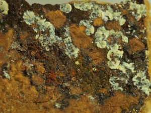 MEURIGIT-K aus Mexiko * SELTENES PHOSPHATMINERAL * 3,1 cm - Bild 1 von 4