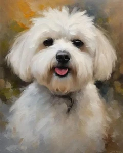 Pintura ZUVRDIAI HÁGALO USTED MISMO por números para adultos Bichón Frise 16 x 20 pulgadas, coloreado - Imagen 1 de 7