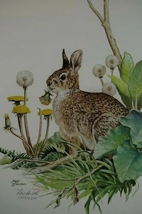 NED SMITH RABBIT ART PRINT FRAMED SIGNED L.E. 1755/2500 - Photo 1/3