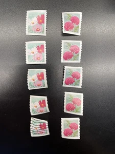 2-Used US Stamp Collection. #5664-5665 Nonprofit Org/USA. Butterfly Garden. Coil - Picture 1 of 2