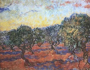 Vincent Van Gogh Olive Grove Art Print 22 x 28 - Picture 1 of 1