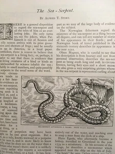 Sea Serpent Cringle Drevar Linnean Society Monster Rare Old Article 1895 Biccard - Picture 1 of 8