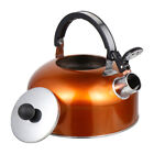 Elegant Stainless Steel Tea Kettle Pot with Whistle for Boiling Water 70s