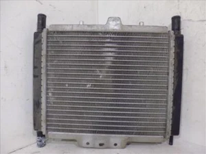 radiador de agua para PEUGEOT GEOPOLIS 400 . 2011 27313 - Imagen 1 de 6