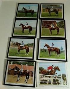 Quadro calendario Schweppes corse di cavalli fantino stampa incorniciata Baron Studios - Foto 1 di 48