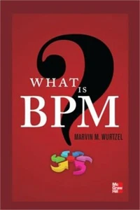 What Is BPM? (Paperback or Softback) - Picture 1 of 1