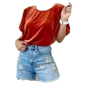 Neu ohne Etikett Madewell Samttop mit Flatterärmeln XS bauchfrei rostfarben Übergröße - Bild 1 von 7