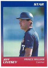 1987 1988 1989 1991 1993 Prince William Yankees Cannons Minor Baseball Card PICK