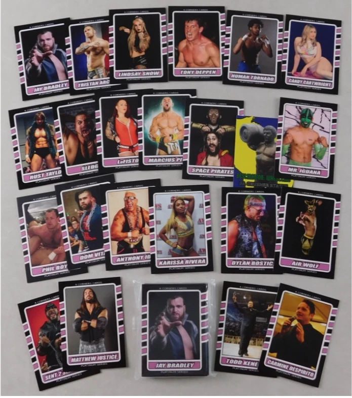 Juego de cartas coleccionables de lucha libre de 4 esquinas agosto 2019 Mr Iguana Deppen Lufisto WWE AEW Foto 1 de 3