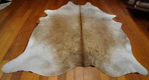 A Short Smooth Coat  - A Golden Tan - A Beautiful Gloss - A Premium Cowhide Rug - Picture 1 of 9