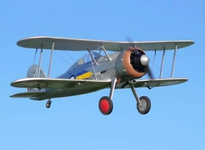 RC Airplane Aircraft Durafly PNF Gloster Gladiator Mk1 Biplane Fighter 1100mm US - Picture 1 of 13