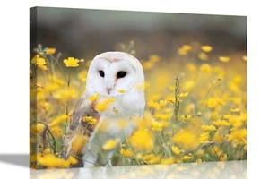 Búho blanco flores amarillas estampados de lona decoración del hogar imágenes botánicas de animales - Imagen 1 de 10