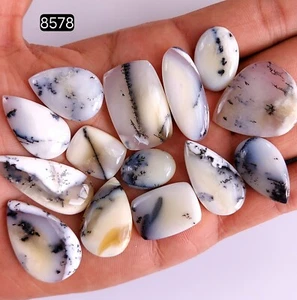 Lote de 14 piedras preciosas cabujón ágata dendrita natural 242 quilates 36x15 19x13 mm #R -8578 - Imagen 1 de 4