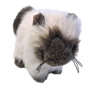 Ganz Webkinz Brown Himalayan Cat Plush Stuffed Animal NO CODE - Picture 1 of 6