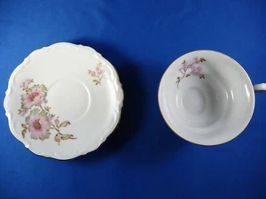 MITTERTEICH China DOGWOOD teacup tea cup & Saucer Germany Bavaria Please Read - Picture 1 of 11