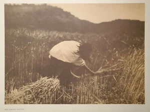 Apache Indian Women Harvesting Grain Southwest Edward Curtis 1900/72 - Picture 1 of 1